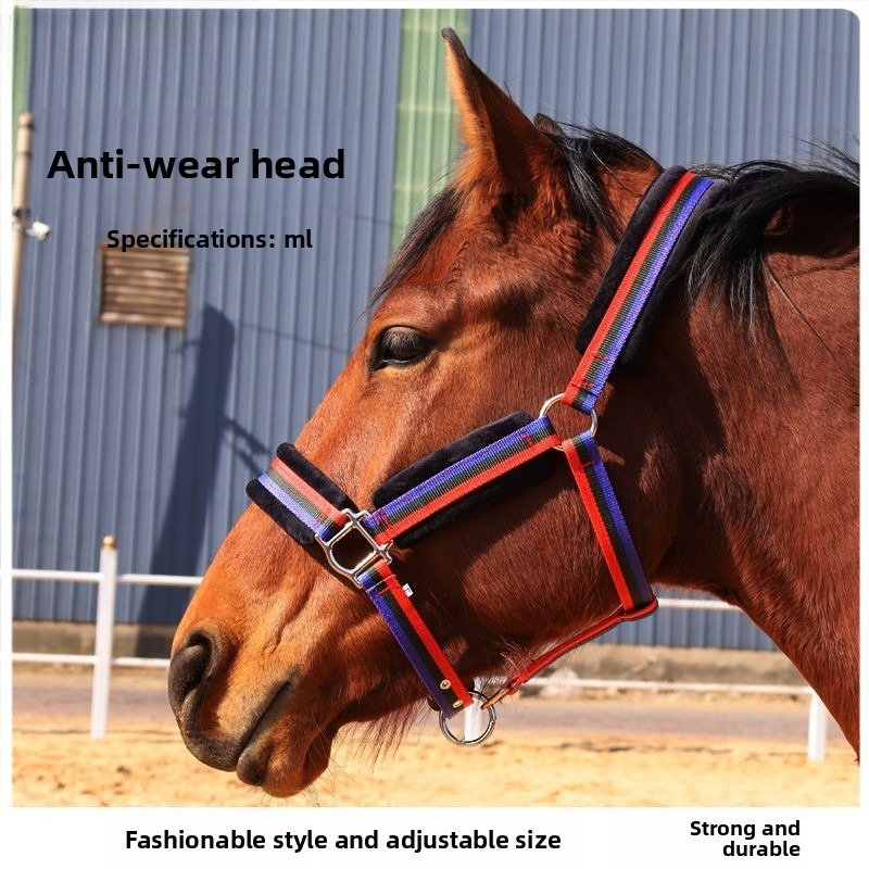 Headcollar Rope Set - Aşınmaya Dayanıklı Tekstil At Yular Seti,